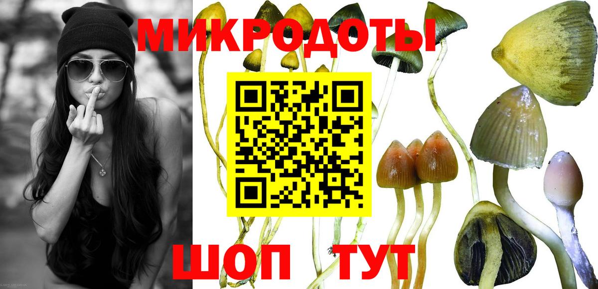 Прохладный  Псилоцибиновые грибы прущие грибы  Вход с VPN 